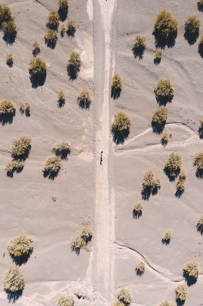 The Art of Drawing Readers In: Your attractive post title goes here Aerial shot capturing desert terrain with scattered trees and a central pathway.