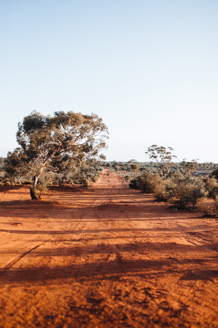Mastering the First Impression: Your intriguing post title goes here Rural serene scenery of wide sandy road in middle of green fields with trees and shrubs